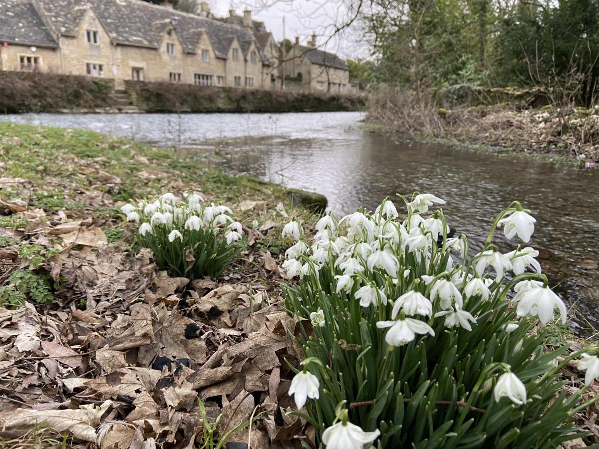 Full-day Tour of the Cotswolds with Lunch