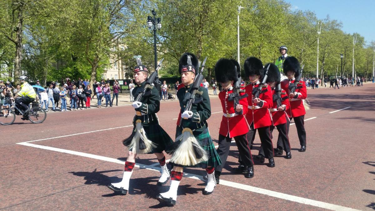 Guided Tour of Changing the Guard Ceremony
