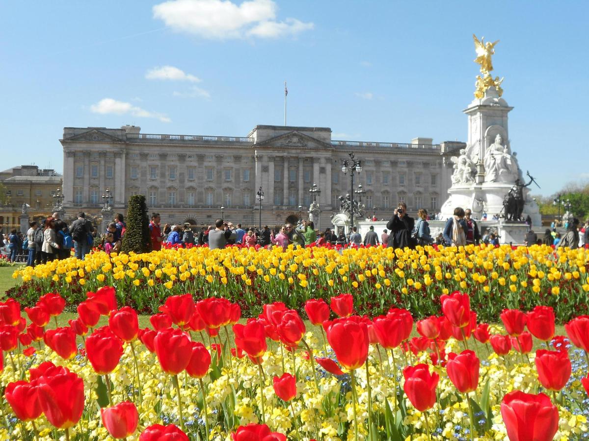 Guided Tour of Changing the Guard Ceremony