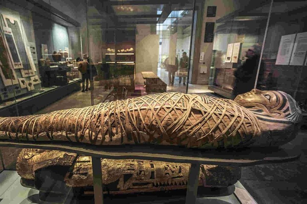 British Museum London Private Guided Tour - 3 hour