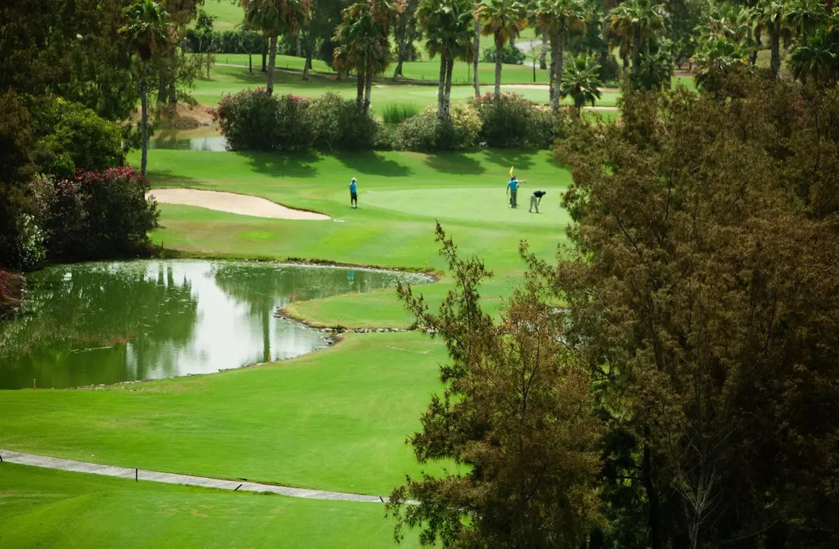 2 nights Spain bed and breakfast (Catalonia Oro Negro) flights included