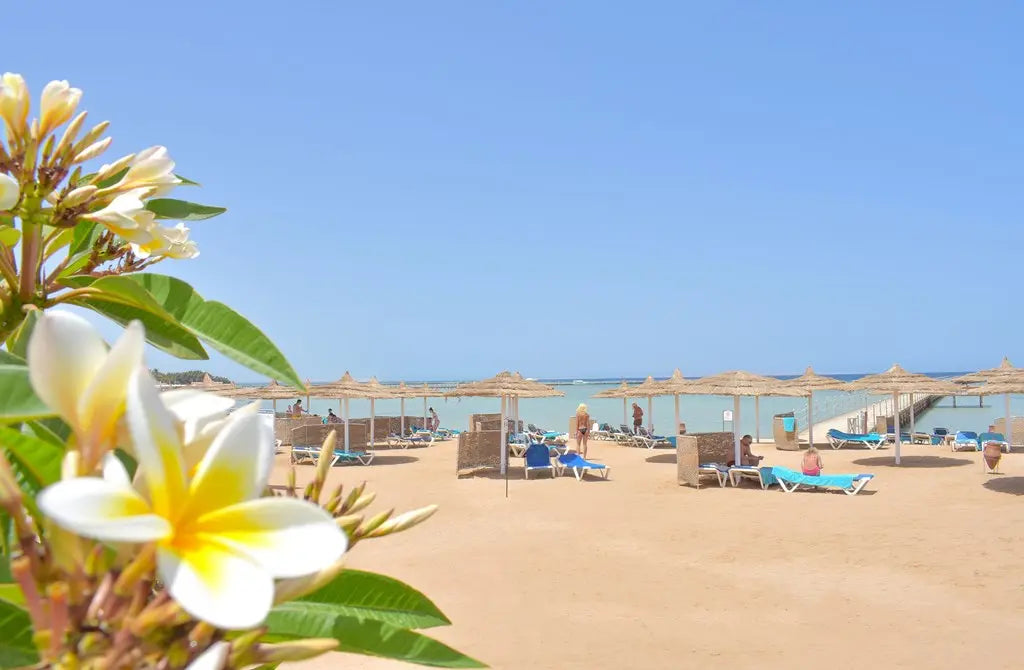 7 nights Hurghada all inclusive(Jasmine Palace Resort and Spa )flights included