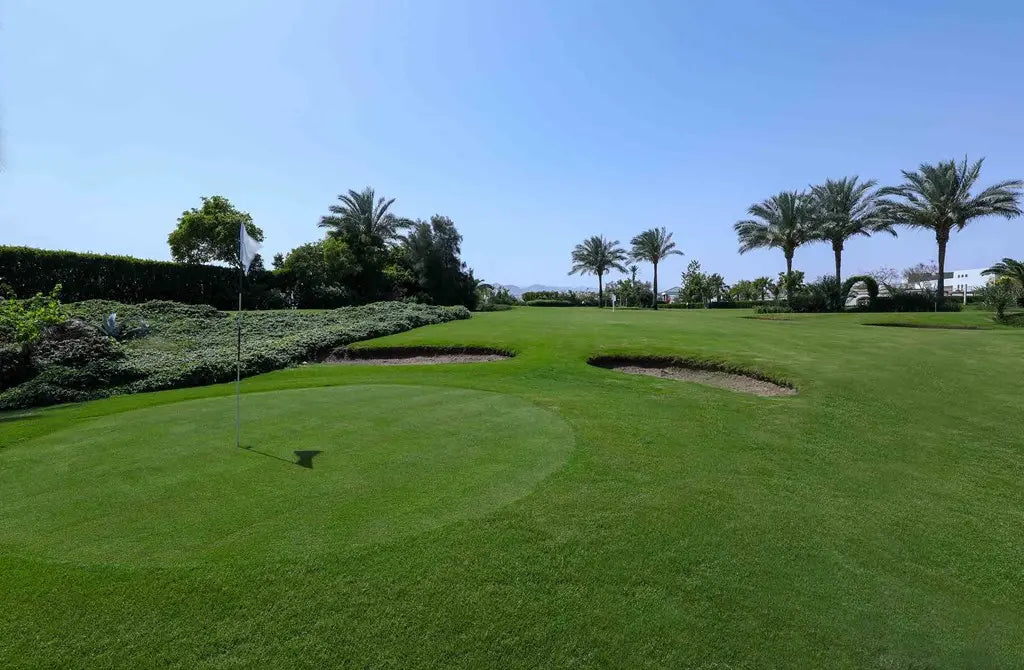 7 nights Sharm El-sheikh all inclusive(Stella Di Mare Beach Hotel and Spa  ) flights included