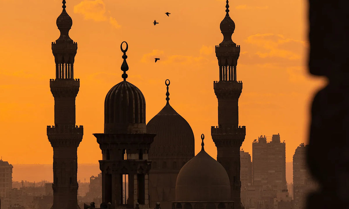 3 nights Cairo & 4 nights luxor  flights included