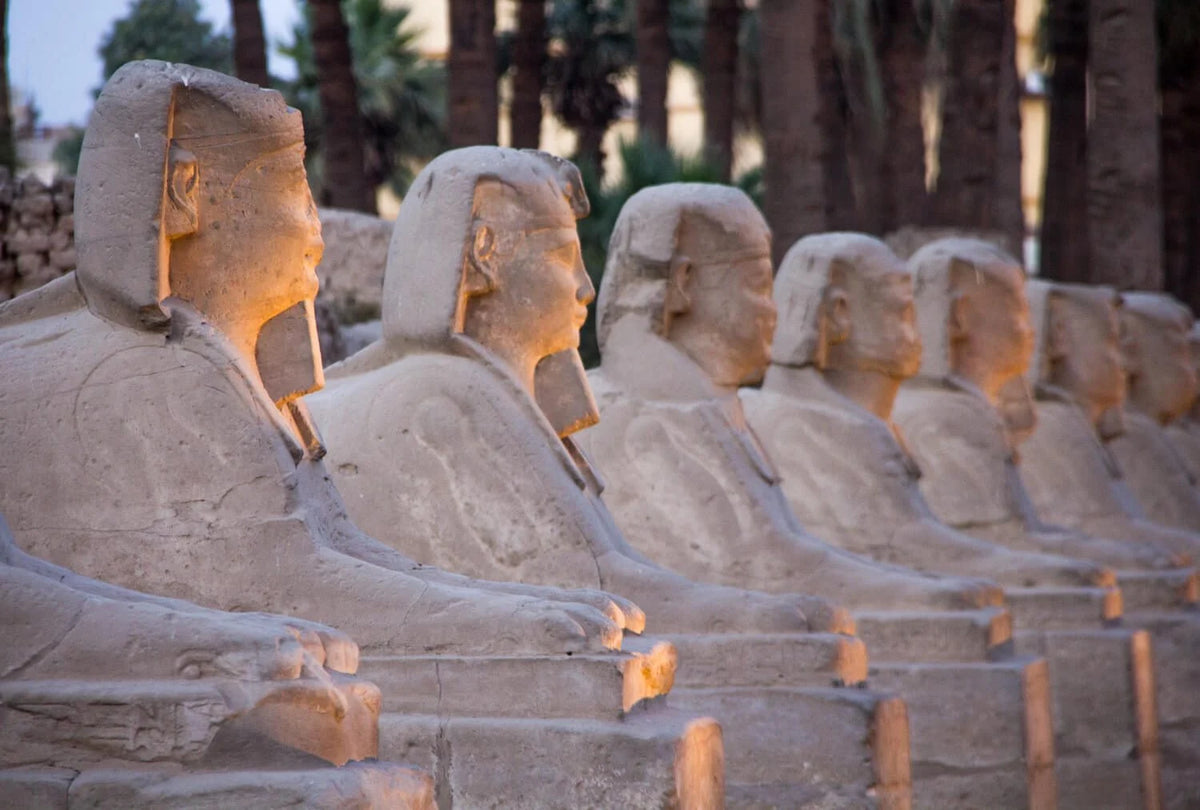 Luxor private-Half day Hatshepsut temple ,Valley King ,Colossal Memnon & Lunch
