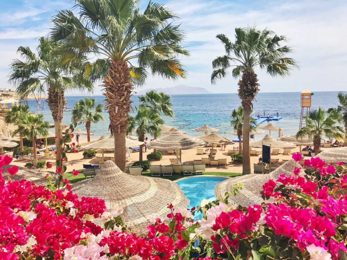 7 nights Italy bed and breakfast (Savoy Beach Hotel) flights included